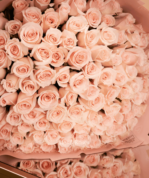 Light Pink Rose Bouquet
