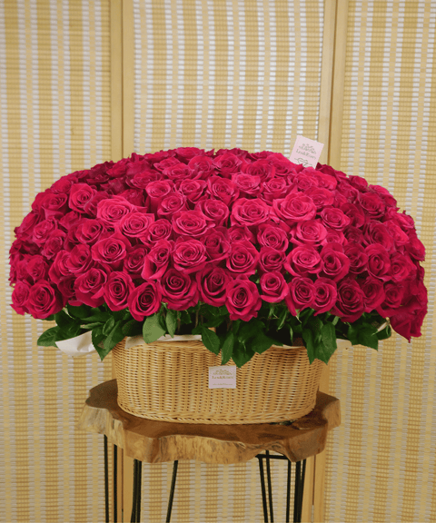B Basket Oval - Red