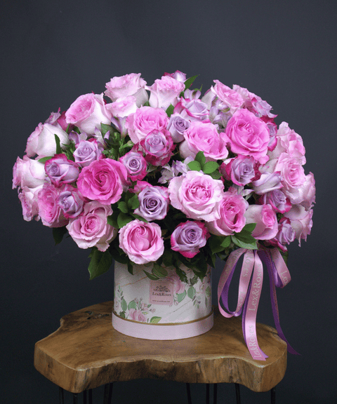 50 Box - Pink & Purple