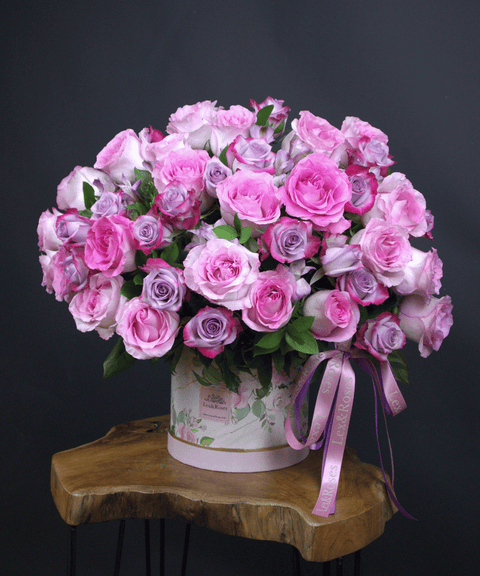 50 Box - Pink & Purple