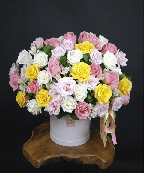 50 Box - Symphony Roses