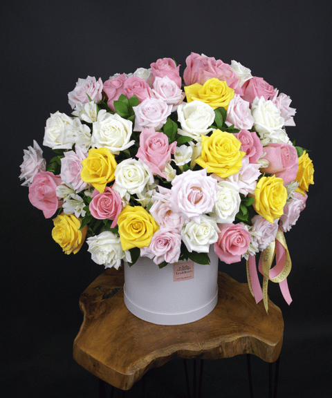 50 Box - Symphony Roses