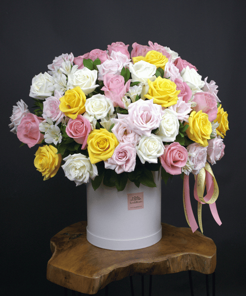 50 Box - Symphony Roses