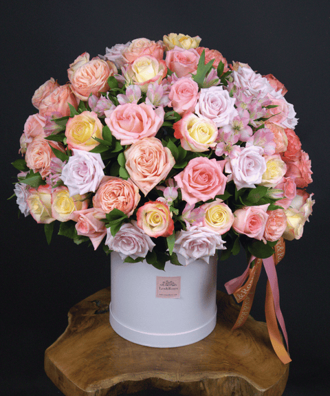 50 Box - Cotton Candy