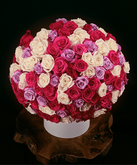 Kiky - HatBox