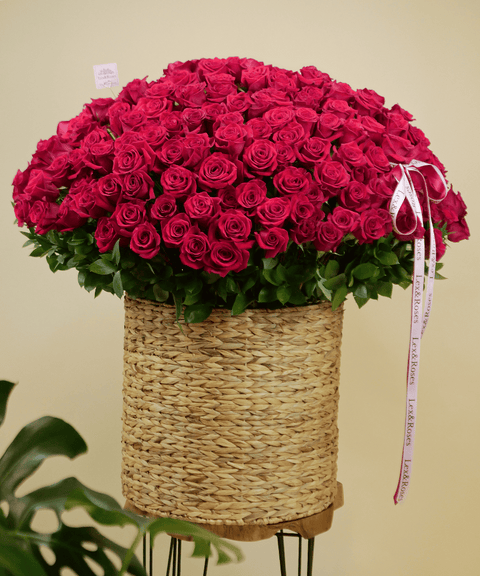 Grand Red