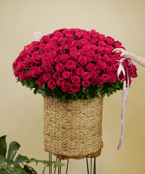 Grand Red