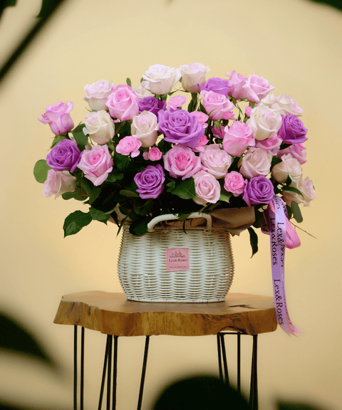 W Basket E - Purple Deluxe