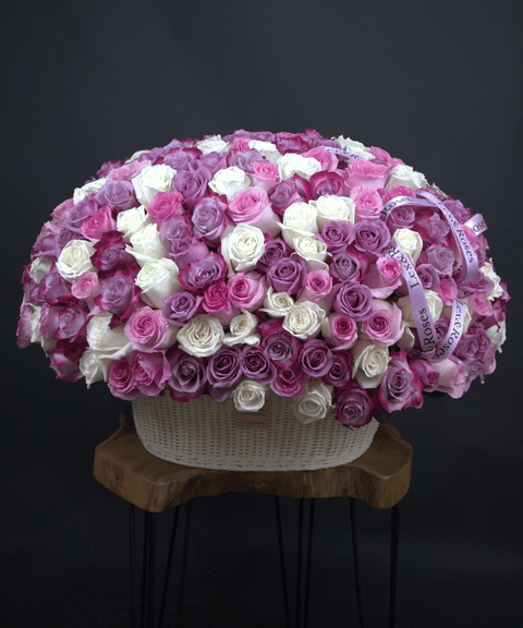 W Basket Oval - Purple Deluxe