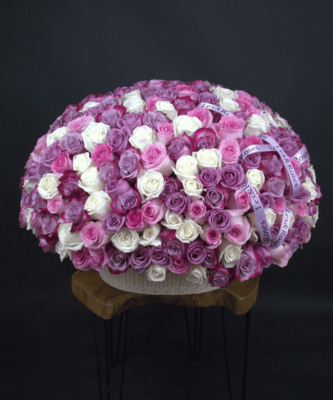 W Basket Oval - Purple Deluxe