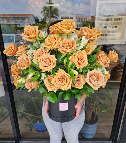 Cappuccino Box - 50 Roses