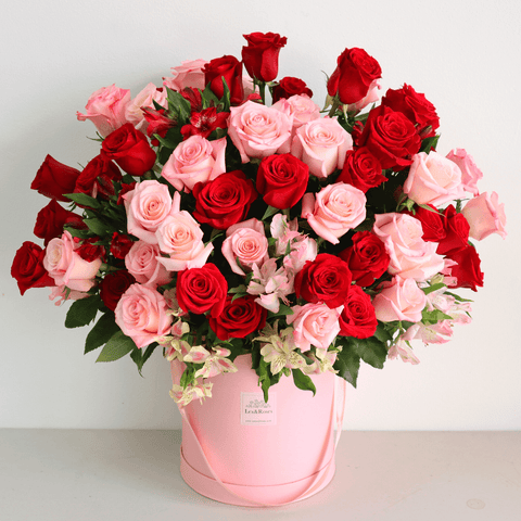 50 Pink & Red Rose Box
