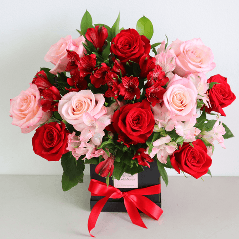 Lexi Box - Pink & Red