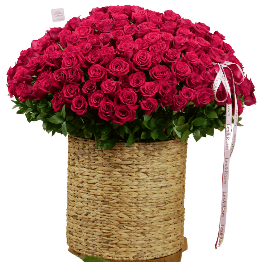 Rose Bouquets – Lex&Roses