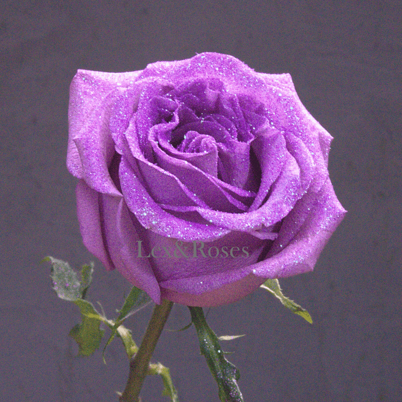 Glitter Purple Roses