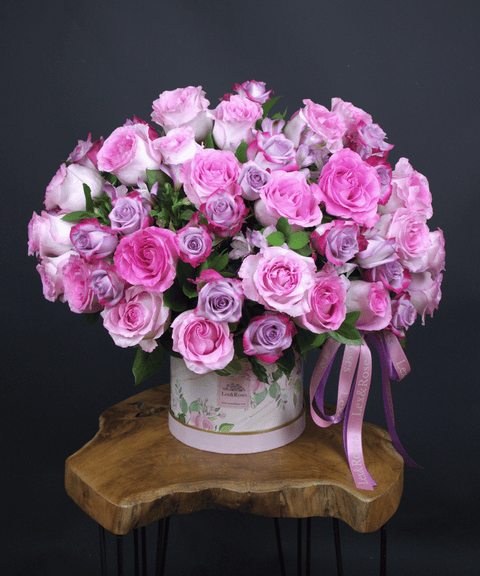 50 Box - Pink & Purple