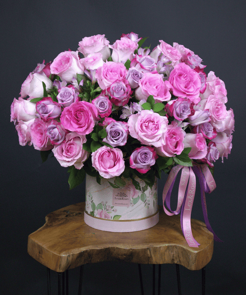 50 Box - Pink & Purple