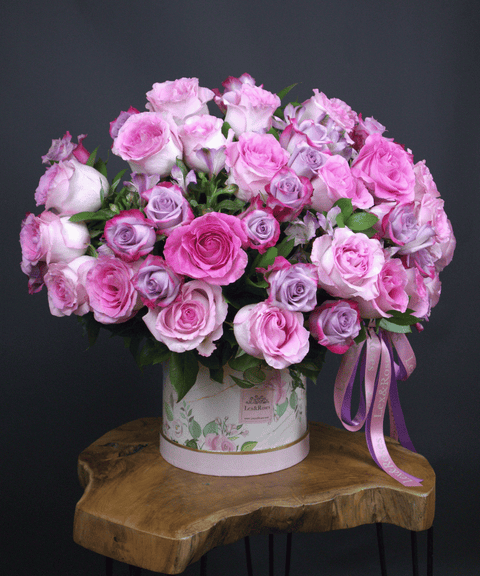 50 Box - Pink & Purple