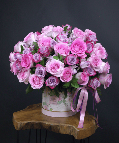 50 Box - Pink & Purple