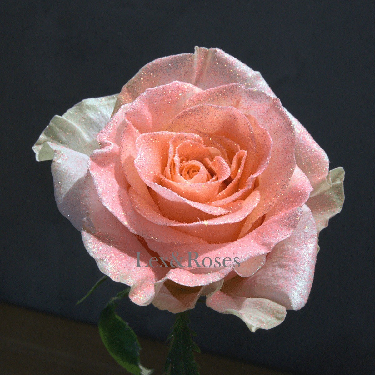 Lex Roses Glitter Peach Roses โ Lex&Roses