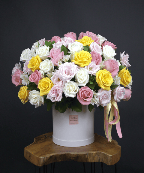 50 Box - Symphony Roses