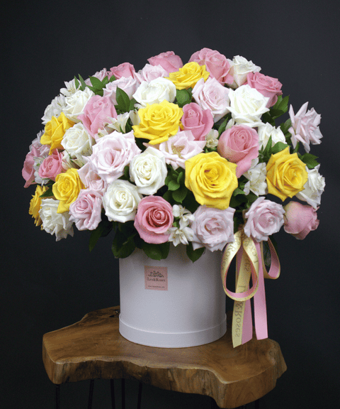 50 Box - Symphony Roses