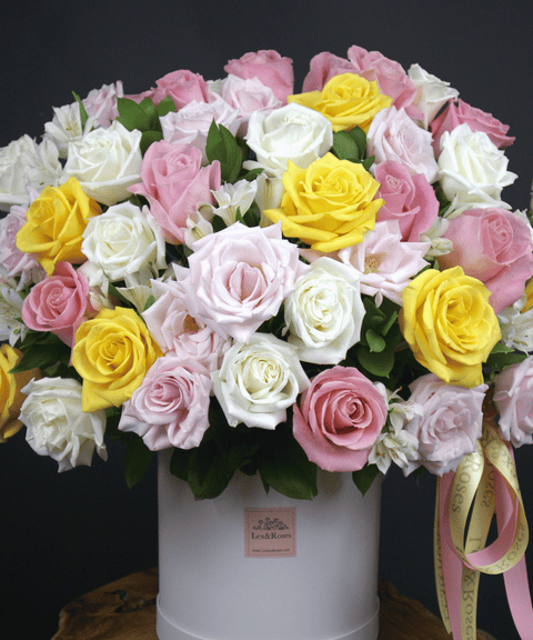 50 Box - Symphony Roses