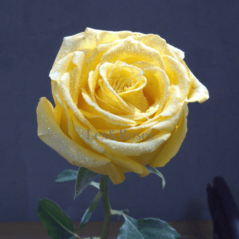 Glitter Yellow Roses