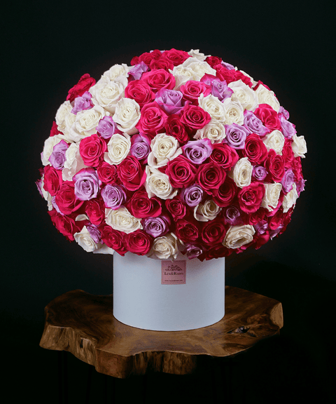 Kiky - HatBox