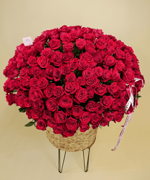 Grand Red