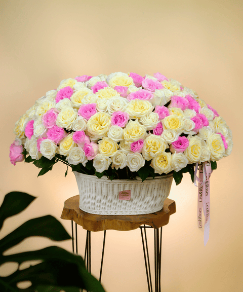 W Basket Oval - Candle Deluxe