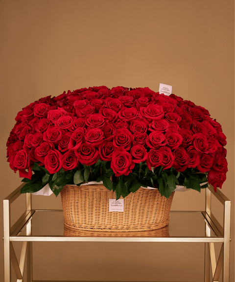 B Basket Oval - Red