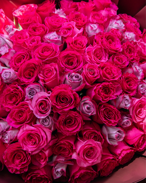 Fuchsia Bouquet