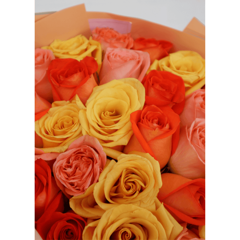 Sunset Roses - Nationwide