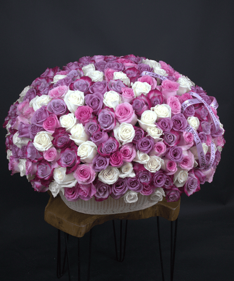 W Basket Oval - Purple Deluxe