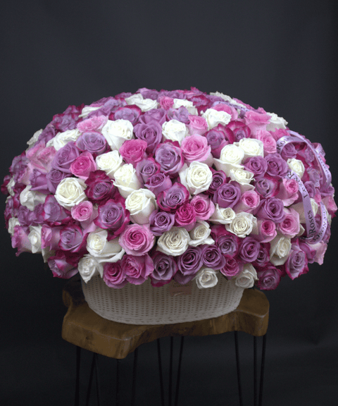 W Basket Oval - Purple Deluxe