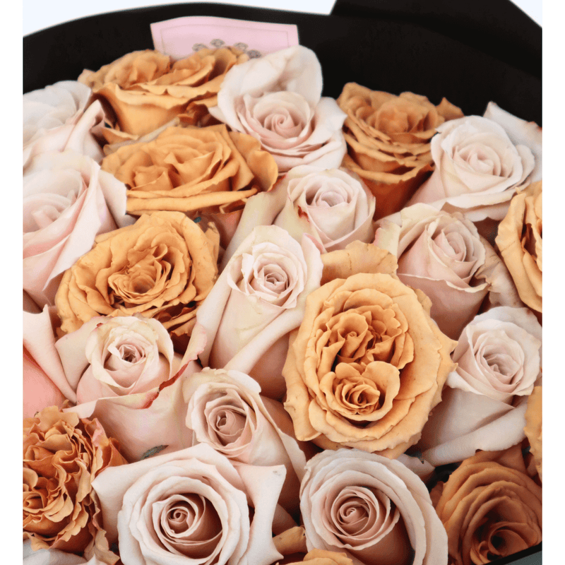 Cappuccino & Sandstone Roses - Nationwide