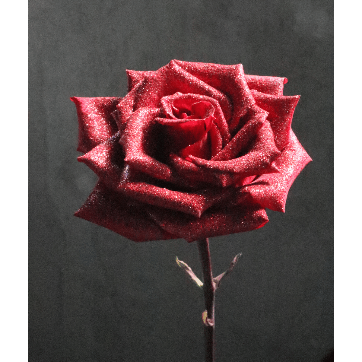 Lex Roses Glitter Red Roses โ Lex&Roses