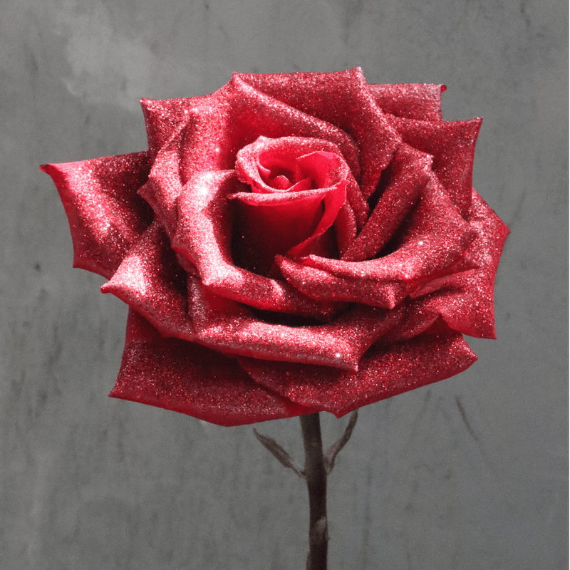 Glitter Red Roses - Nationwide